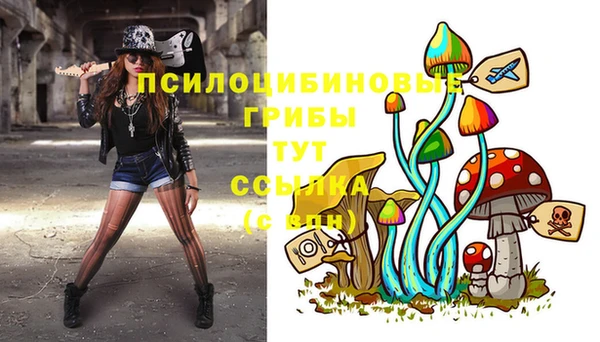 mix Армянск