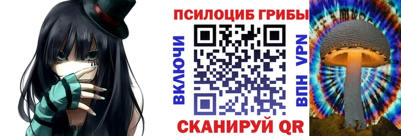 Галлюциногенные грибы Psilocybe Пошехонье