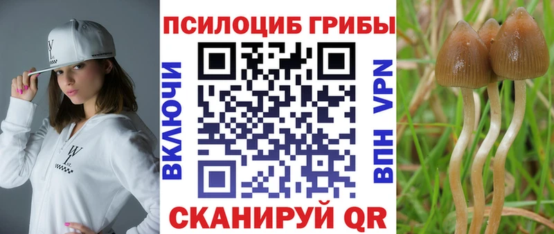 Галлюциногенные грибы мицелий  Пошехонье 